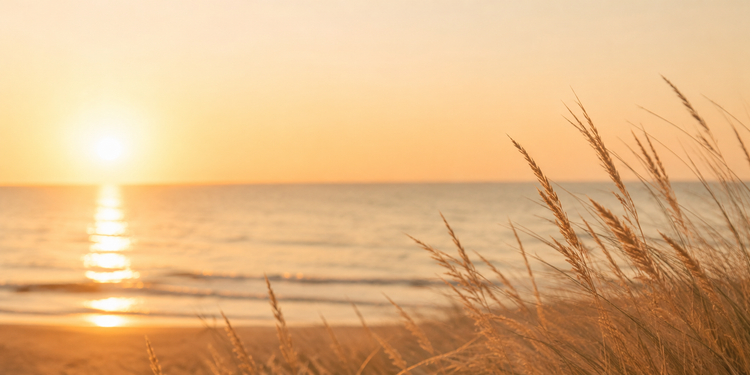 Sonnenmomente